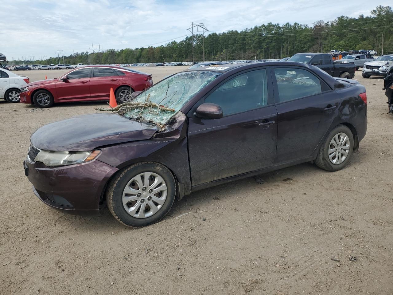 KIA FORTE 2011 knafu4a21b5443766