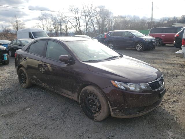 KIA FORTE EX 2011 knafu4a21b5444982