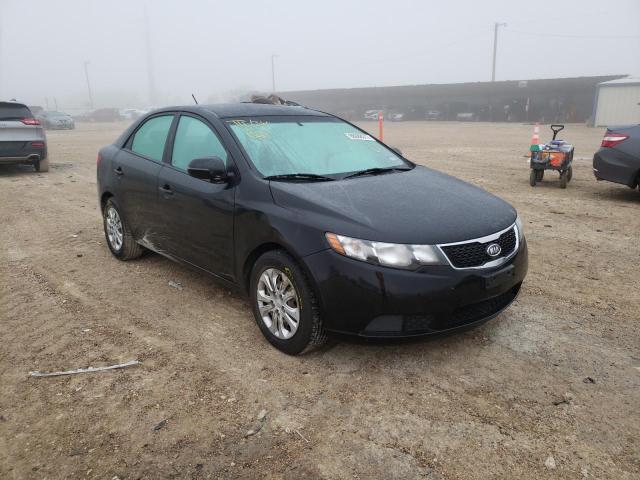 KIA FORTE 2011 knafu4a21b5455920