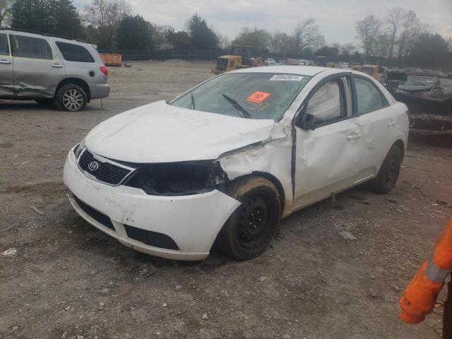 KIA FORTE 2011 knafu4a21b5462804