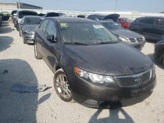 KIA FORTE EX 2012 knafu4a21c5499126