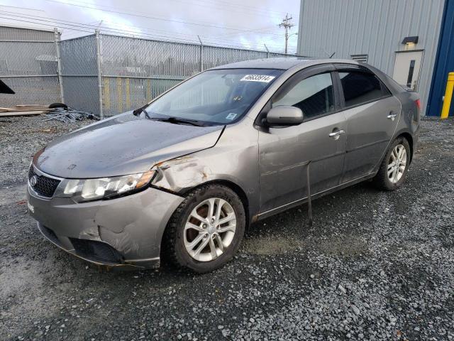 KIA FORTE 2012 knafu4a21c5514675