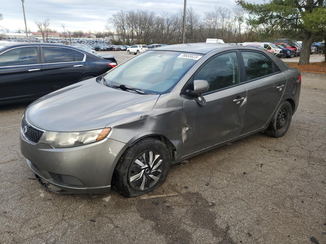 KIA FORTE 2012 knafu4a21c5523988