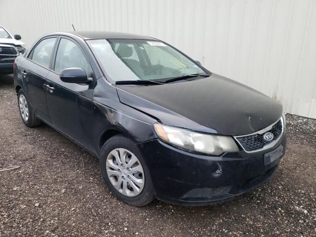 KIA FORTE EX 2012 knafu4a21c5533453