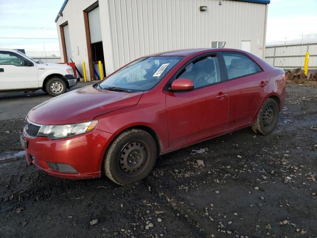 KIA FORTE 2012 knafu4a21c5546879