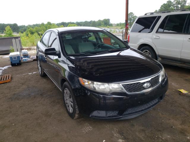 KIA FORTE EX 2012 knafu4a21c5595158