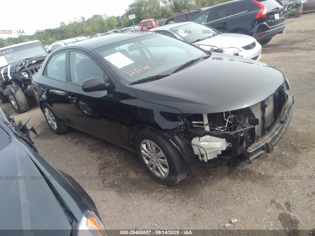 KIA FORTE 2012 knafu4a21c5626389