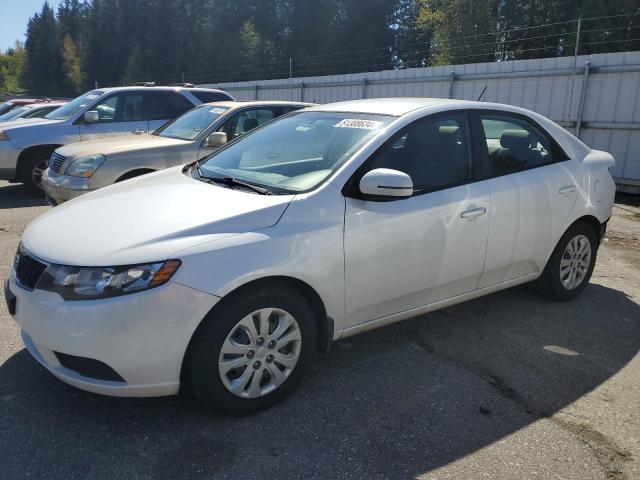 KIA FORTE 2012 knafu4a21c5636291