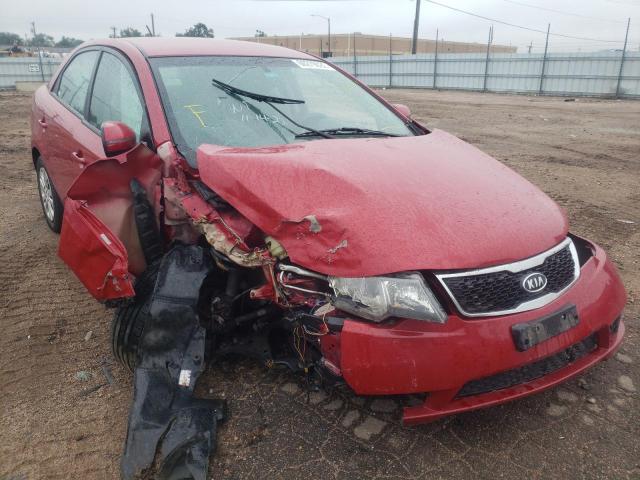 KIA FORTE EX 2013 knafu4a21d5645820