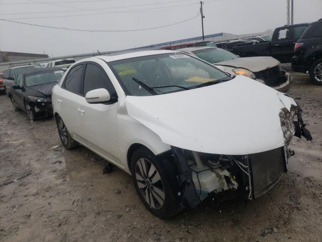 KIA FORTE EX 2013 knafu4a21d5651147