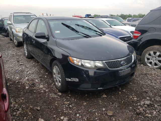 KIA FORTE EX 2013 knafu4a21d5654601