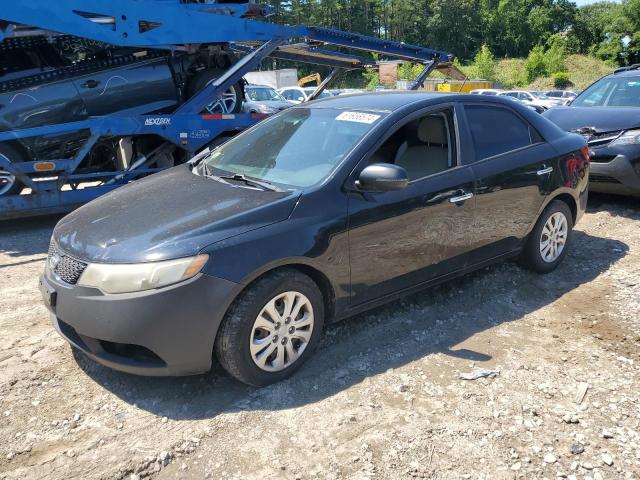 KIA FORTE 2013 knafu4a21d5675688