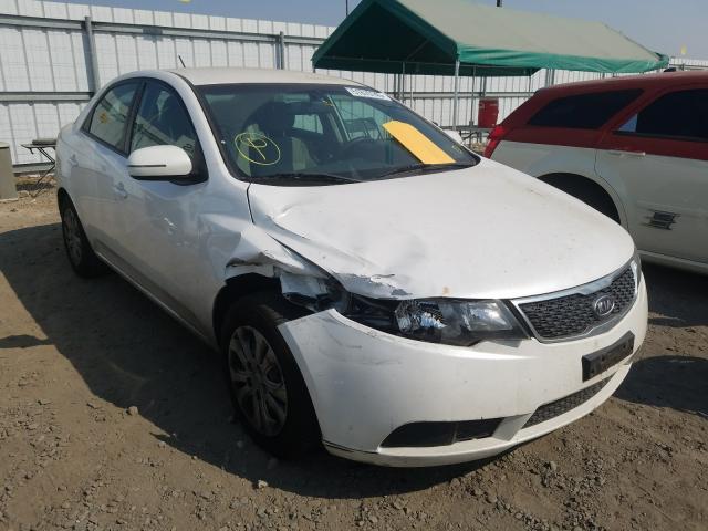 KIA FORTE EX 2013 knafu4a21d5682897