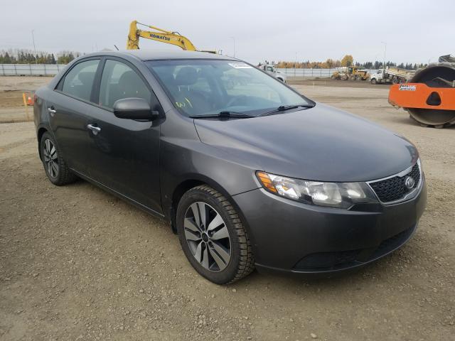 KIA FORTE EX 2013 knafu4a21d5691910