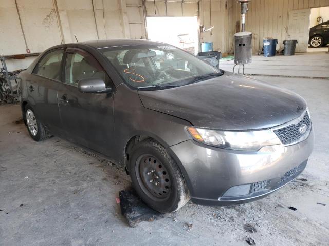 KIA FORTE EX 2013 knafu4a21d5693978