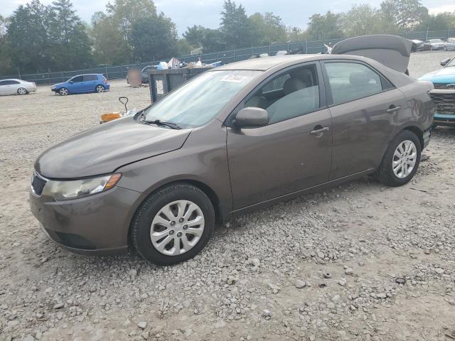 KIA FORTE EX 2013 knafu4a21d5694807