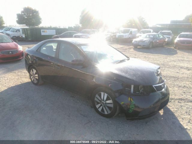 KIA FORTE 2013 knafu4a21d5709547