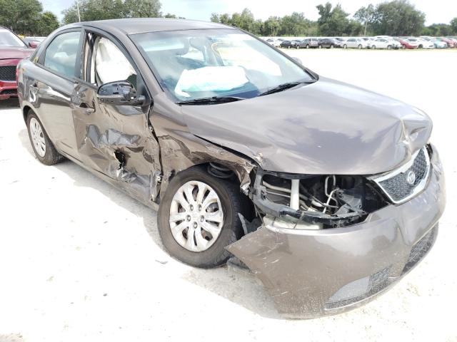 KIA FORTE EX 2013 knafu4a21d5726672