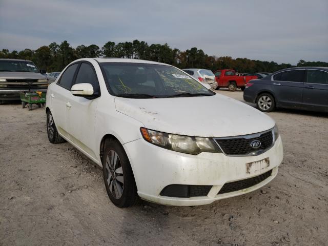 KIA FORTE EX 2013 knafu4a21d5728275