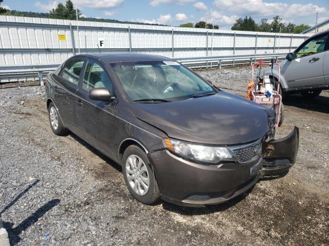 KIA FORTE EX 2013 knafu4a21d5729751