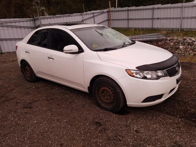 KIA FORTE EX 2013 knafu4a21d5731774