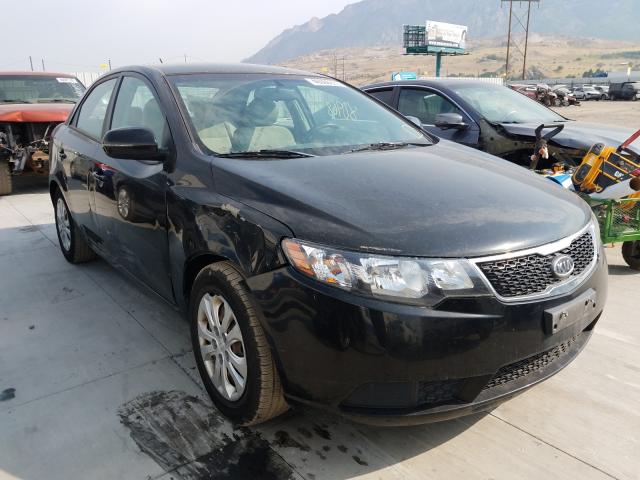 KIA FORTE 2013 knafu4a21d5735727