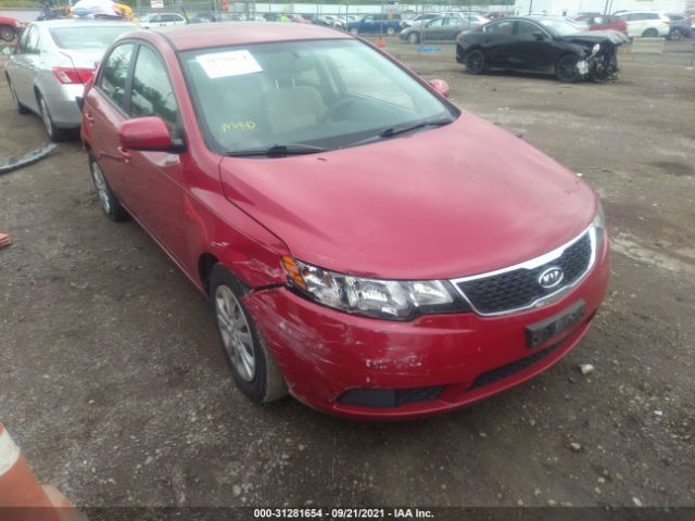 KIA FORTE 2013 knafu4a21d5736294