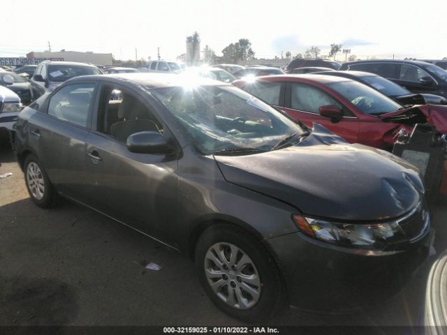 KIA FORTE 2013 knafu4a21d5736831