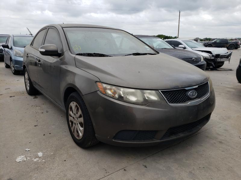 KIA FORTE EX 2010 knafu4a22a5050499