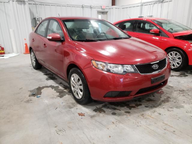 KIA FORTE EX 2010 knafu4a22a5067870