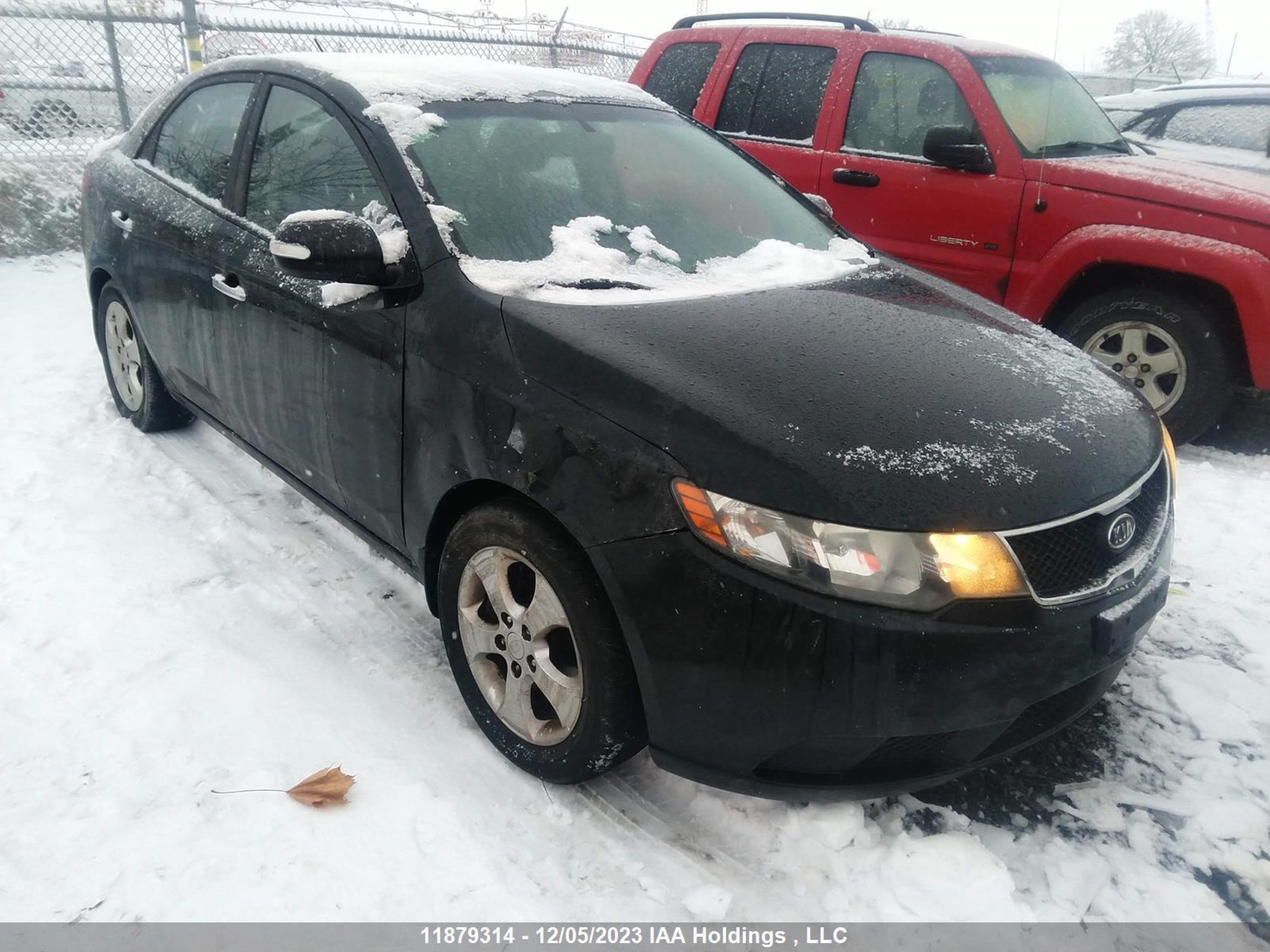 KIA FORTE 2010 knafu4a22a5079615