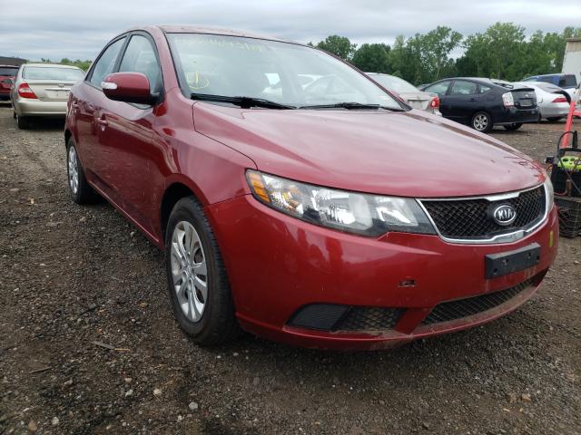 KIA FORTE EX 2010 knafu4a22a5096379