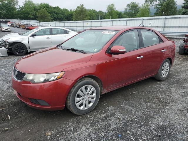 KIA FORTE EX 2010 knafu4a22a5096981