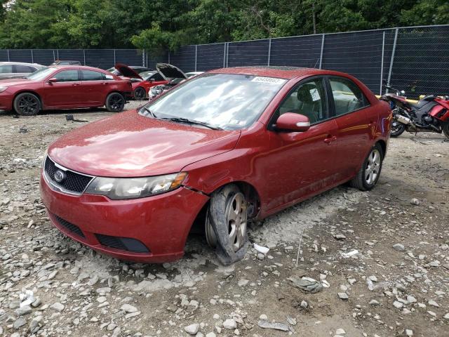 KIA FORTE EX 2010 knafu4a22a5106506