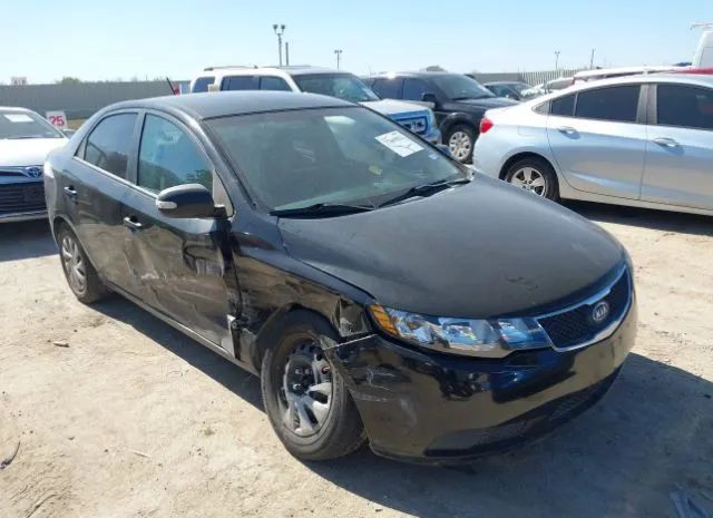 KIA FORTE 2010 knafu4a22a5118087