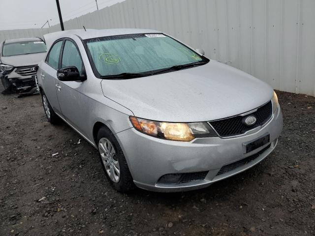 KIA FORTE EX 2010 knafu4a22a5132636