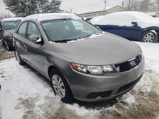 KIA FORTE 2010 knafu4a22a5147279