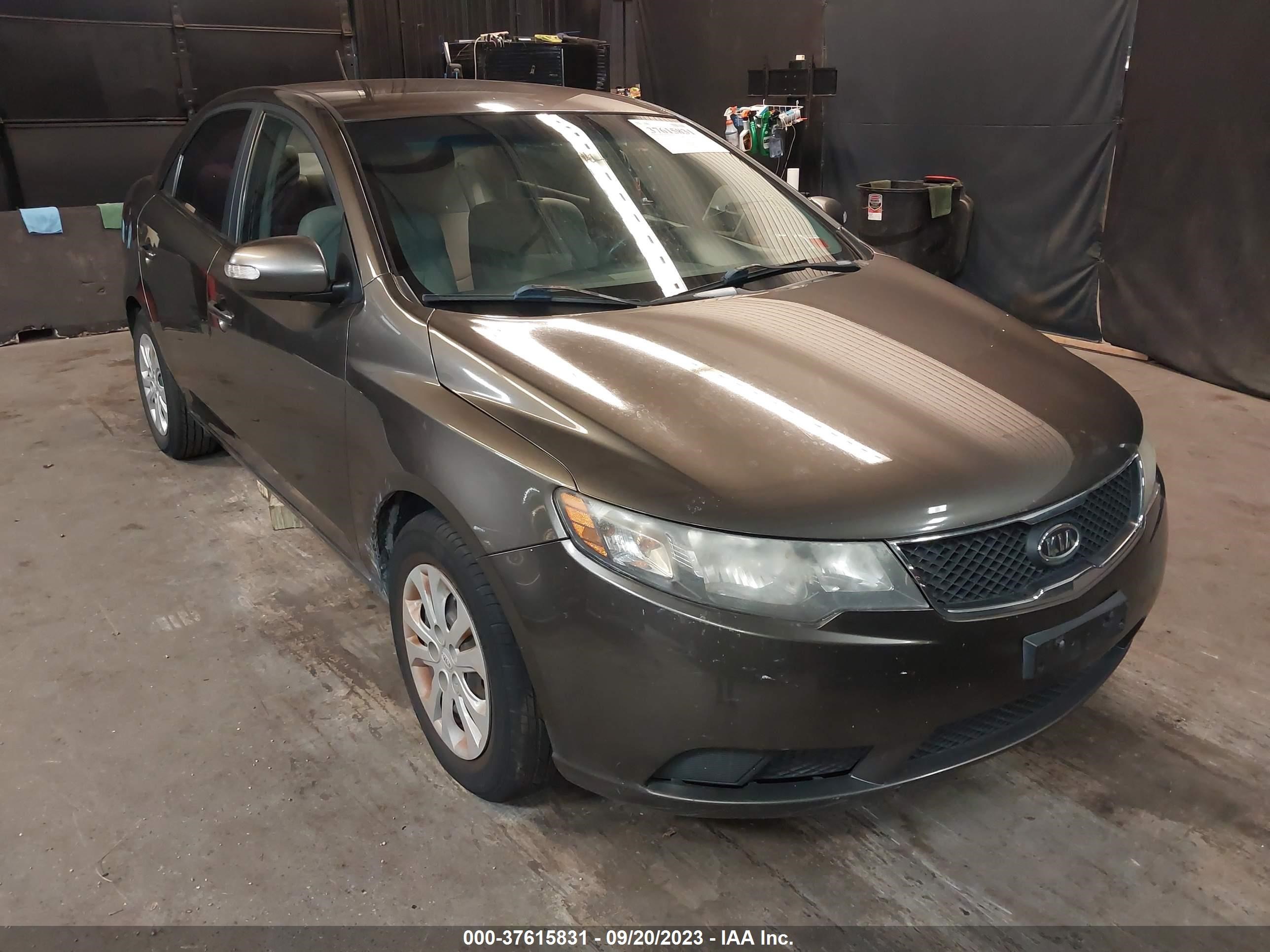 KIA FORTE 2010 knafu4a22a5174269