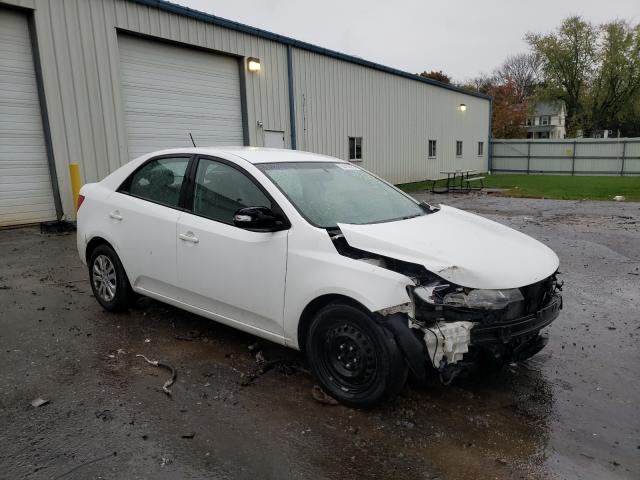 KIA FORTE EX 2010 knafu4a22a5183277