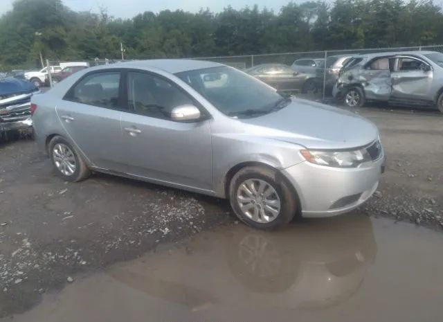 KIA FORTE 2010 knafu4a22a5186728