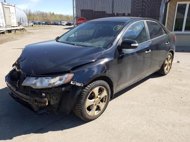 KIA FORTE 2010 knafu4a22a5208940