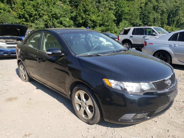 KIA FORTE EX 2010 knafu4a22a5222059