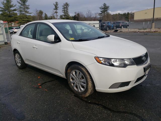 KIA FORTE EX 2010 knafu4a22a5224510