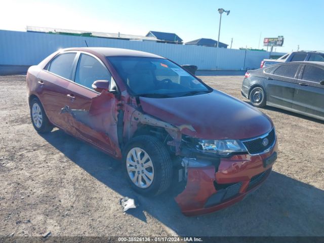 KIA FORTE 2010 knafu4a22a5231389