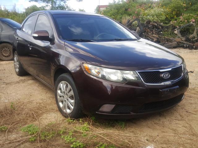 KIA FORTE EX 2010 knafu4a22a5231991