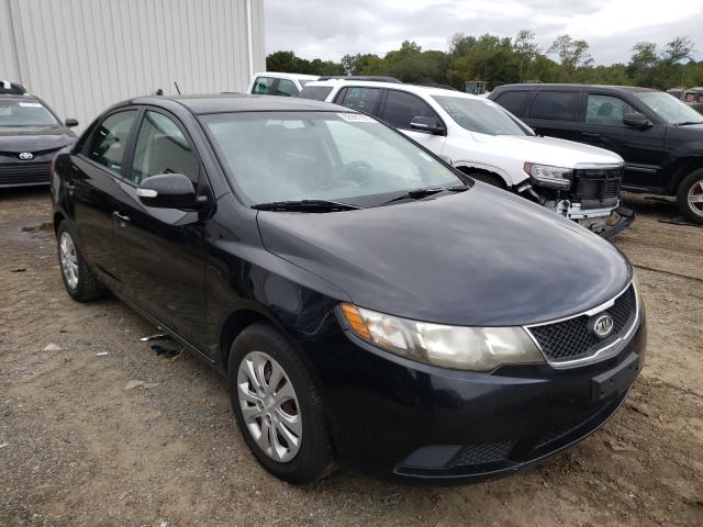 KIA FORTE EX 2010 knafu4a22a5235717