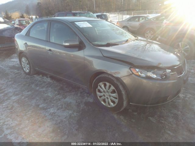 KIA FORTE 2010 knafu4a22a5246748