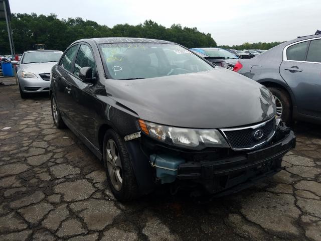 KIA FORTE EX 2010 knafu4a22a5250749