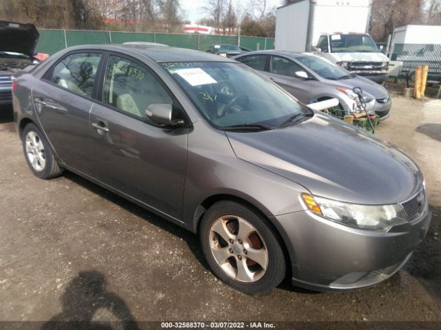 KIA FORTE 2010 knafu4a22a5258527