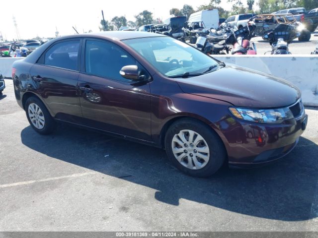 KIA FORTE 2010 knafu4a22a5294153